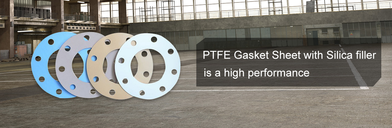 Soft Expanded PTFE Gasket for Sealing